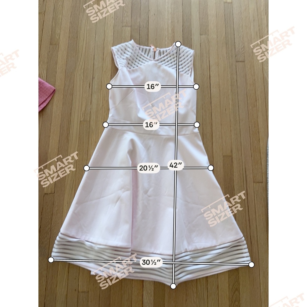 Ted Baker Pale Pink Dress with Sheer Stripe Accents 3 - Picture 6 of 6